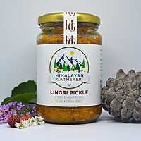 Fiddlehead Fern Pickle