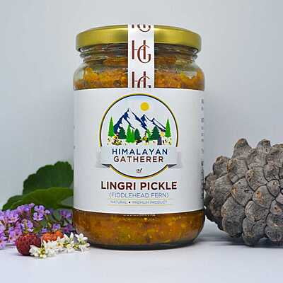 Fiddlehead Fern Pickle