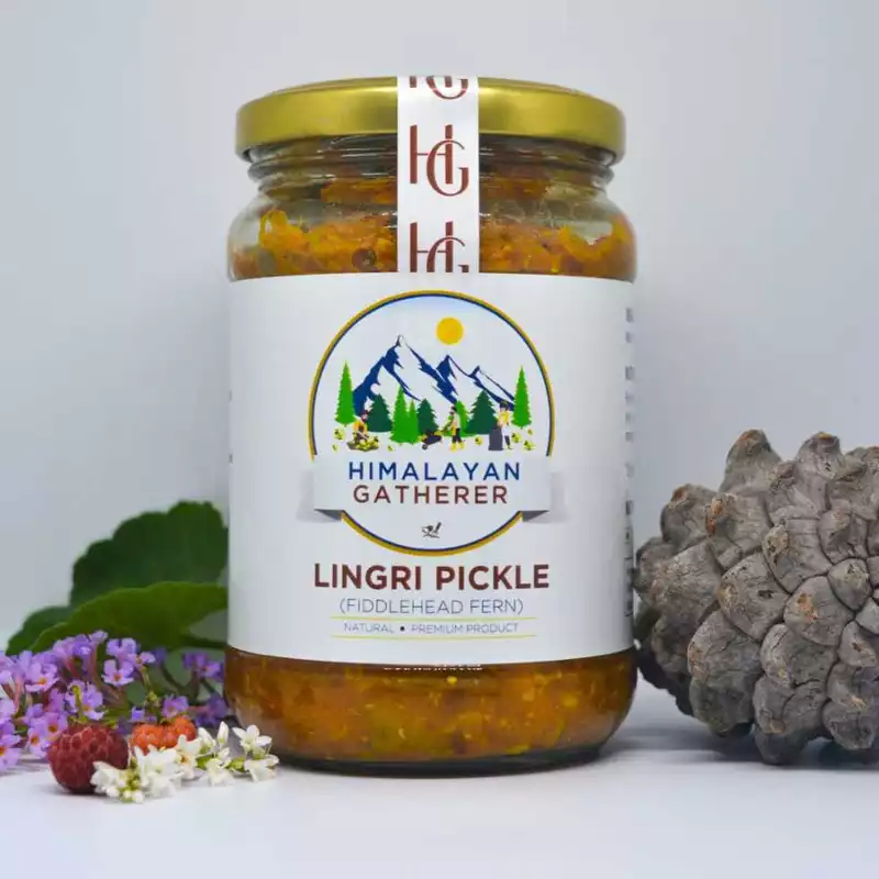 Fiddlehead Fern Pickle