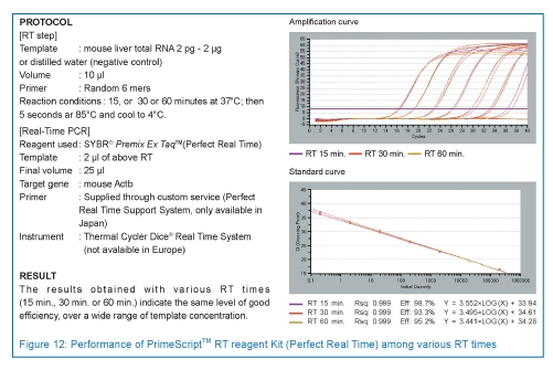 PrimeScript™ RT Reagent Kit (Perfect Real Time) 200rxn TaKaRa