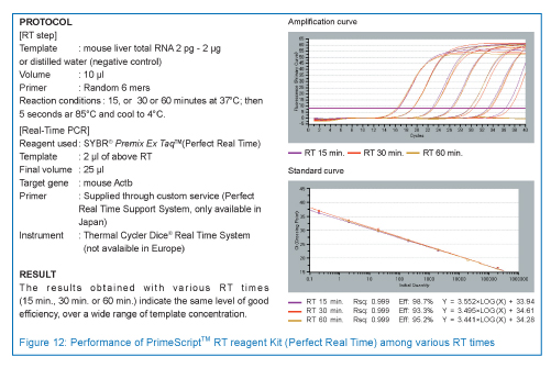 PrimeScript™ RT Reagent Kit (Perfect Real Time) 200rxn TaKaRa
