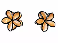 Resin Flower Hair Clip Set with Black Outline
