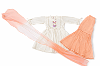 Butterfly Embroidered Dress Set with Dupatta and Plazo for Girls