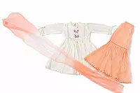 Butterfly Embroidered Dress Set with Dupatta and Plazo for Girls