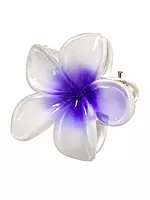 Glossy Resin Flower Hair Clip Set