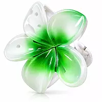 Glossy Resin Flower Hair Clip Set