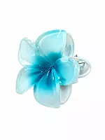 Glossy Resin Flower Hair Clip Set