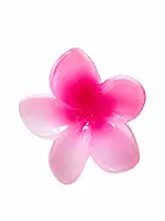 Glossy Resin Flower Hair Clip Set