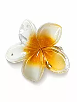 Glossy Resin Flower Hair Clip Set