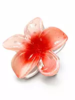 Glossy Resin Flower Hair Clip Set