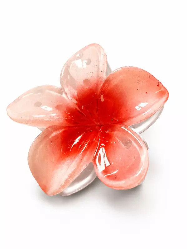 Glossy Resin Flower Hair Clip Set