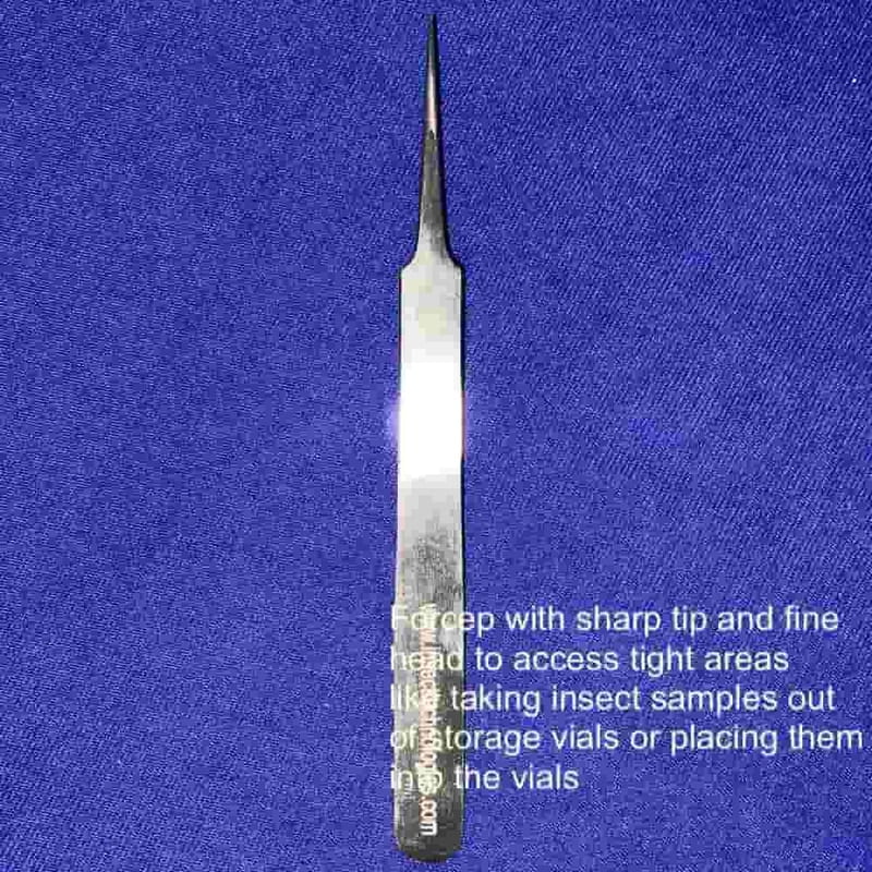 Entomological Forceps with Pointed Tip LIEA-06
