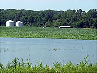 Rainfall Insurance Coverage