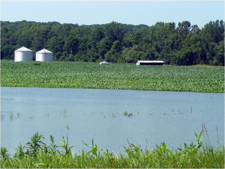 Rainfall Insurance Coverage