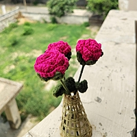 Rose Small Flower Dark Pink Rose Small Flower Dark Pink