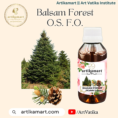 Balsam Forest O.S. F.O.