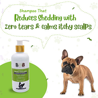 BWB FRENCH BULLDOG SHAMPOO