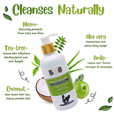 BWB FRENCH BULLDOG SHAMPOO