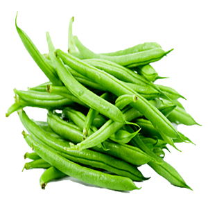 BEANS (French / Round)