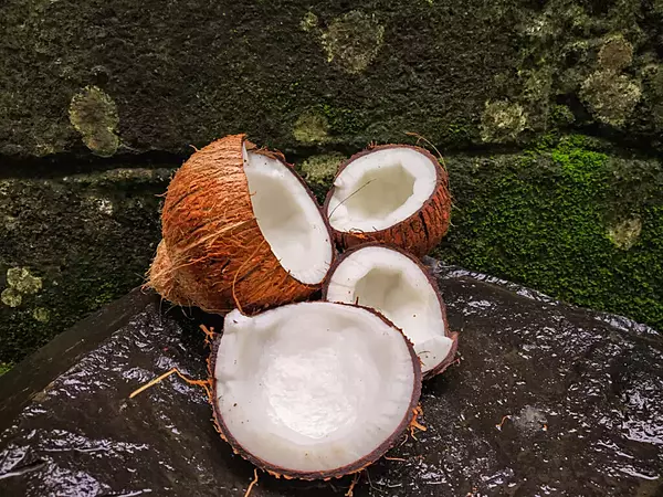 IFF – Coconut Flavour – S 3583