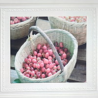 White Fruit Wall Stickers Panel Self Adhesive