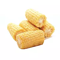 Frozen Corn on Cob 14cm in Box of 40 Pcs