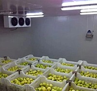 Cold Storage & Warehouse Subsidy Processing