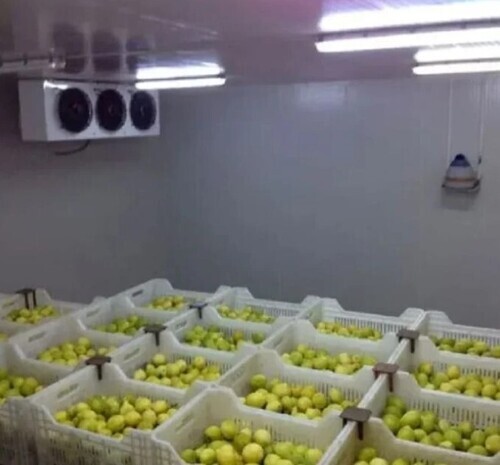 Cold Storage & Warehouse Subsidy Processing