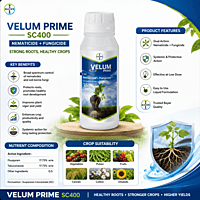 Velum Prime SC 400 Nematicide | Fungicide | Bayer Crop Science | Vetrivel Agro Services