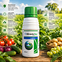 Syngenta MIRAVIS® DUO Fungicide | Vetrivel Agro Services
