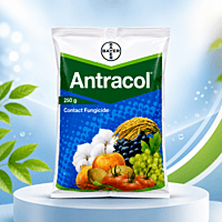 Bayer Antracol® 70 WP (Propineb 70% WP) | Vetrivel Agro Services