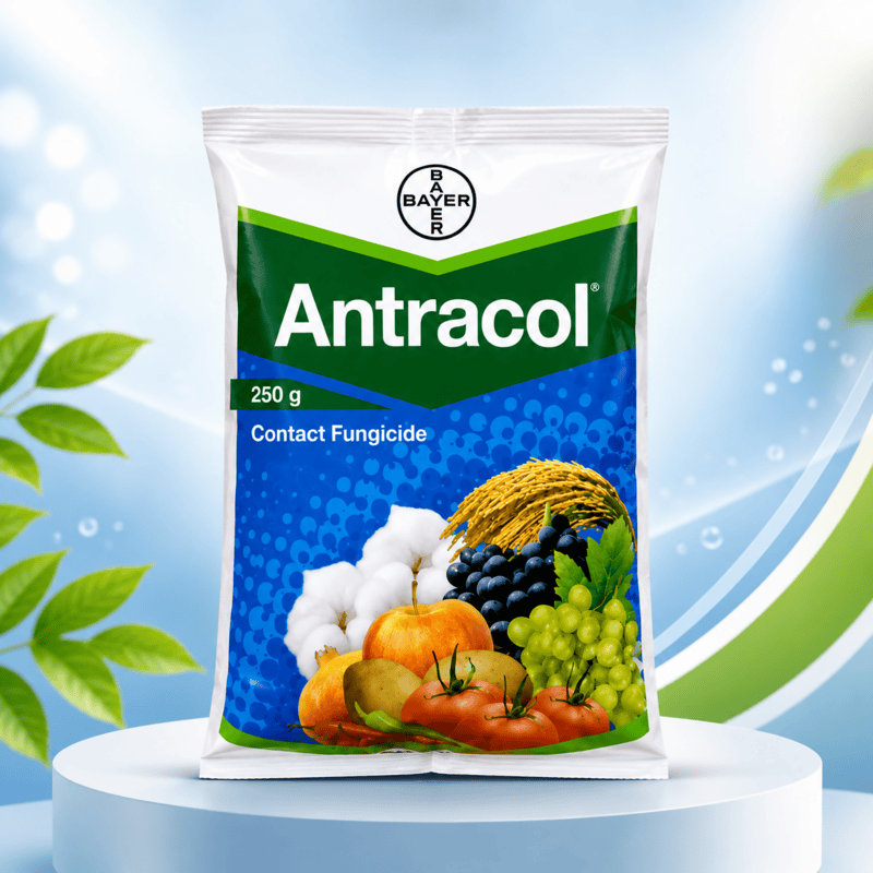 Bayer Antracol® 70 WP (Propineb 70% WP) | Vetrivel Agro Services