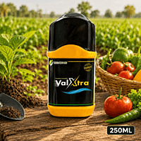 Willowood VALXTRA® Fungicide – Hexaconazole 5% + Validamycin 2.5% SC | Vetrivel Agro Services