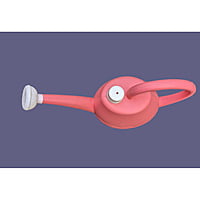 Garden Watering Can 2 lit