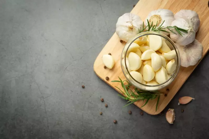 IFF – Garlic Flavour – S 2310