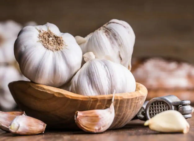 GARLIC