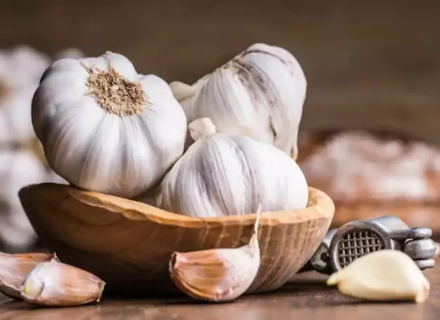 GARLIC