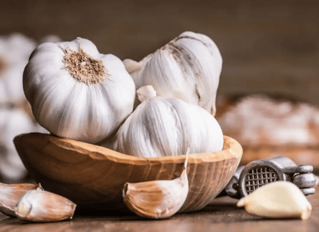 GARLIC
