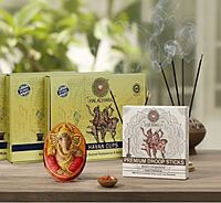 combo pack for festival