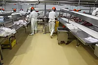 Anti-Skid & Hygienic Flooring for Dairy & Processing Units