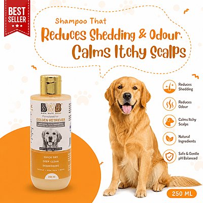 BWB GOLDEN RETRIEVER SHAMPOO