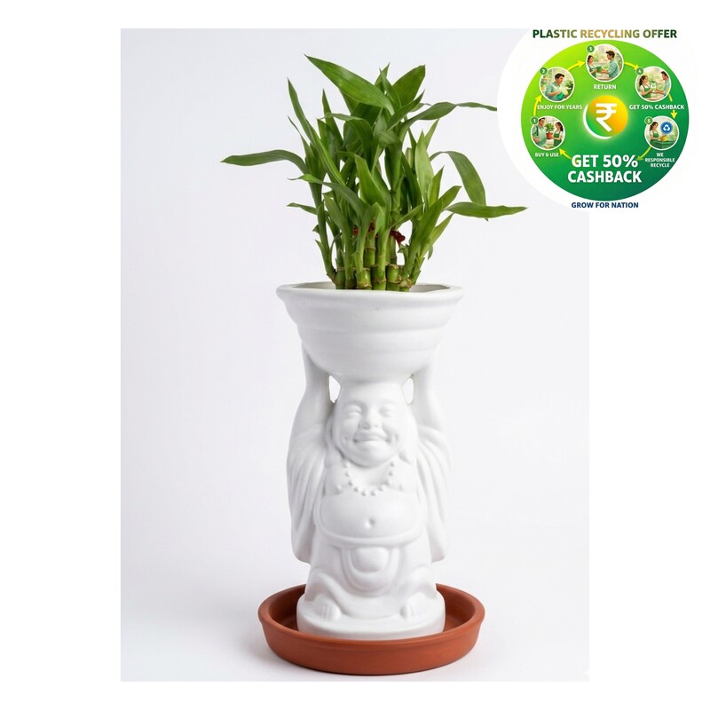 Good Luck Vase | White Decorative Plastic Planter