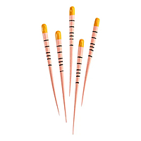 NeoEndo Gutta Percha Points 6% Length Marked – Root Canal GP Points