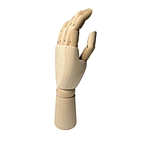 Large Wooden Left Hand Manikin 30cm (12"")