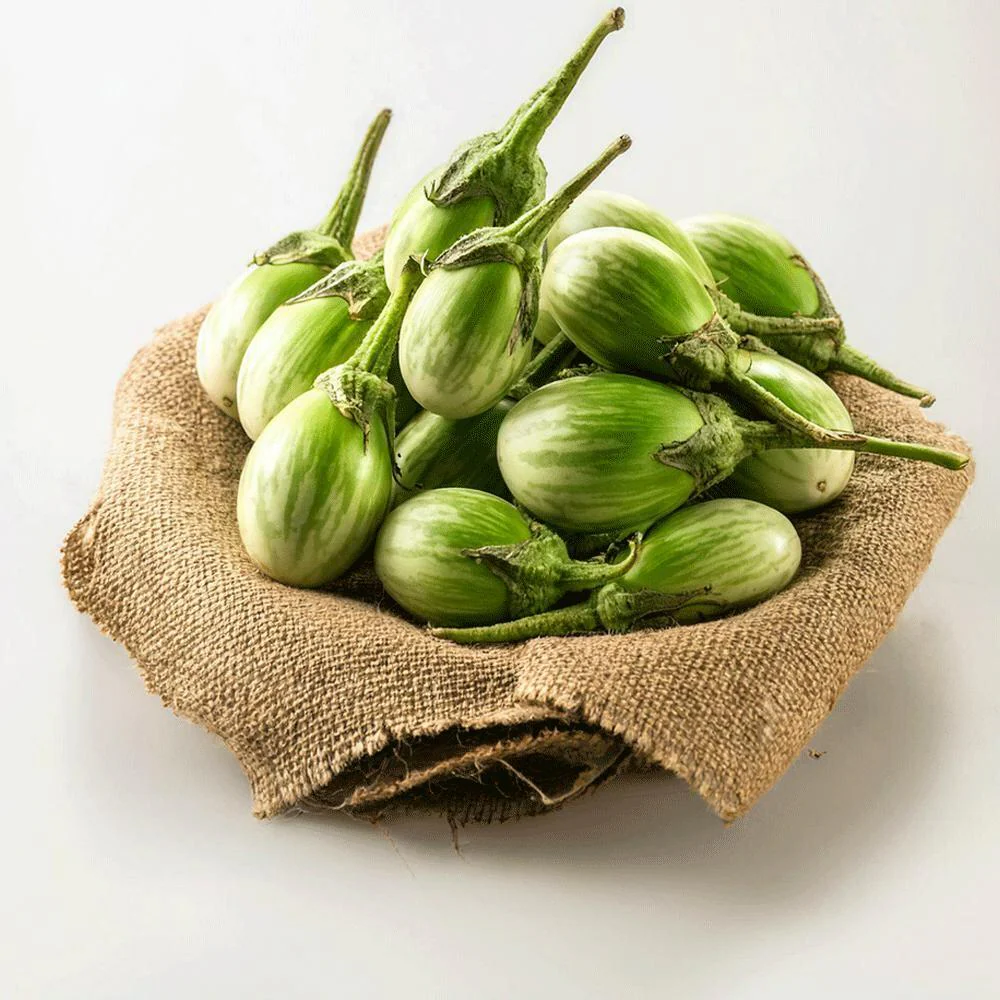 Brinjal Green கத்தரிக்காய்