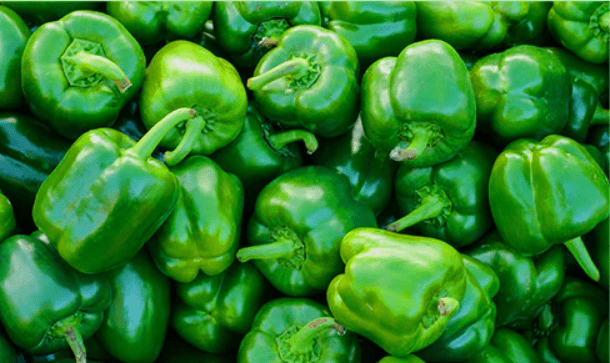 GREEN CAPSICUM