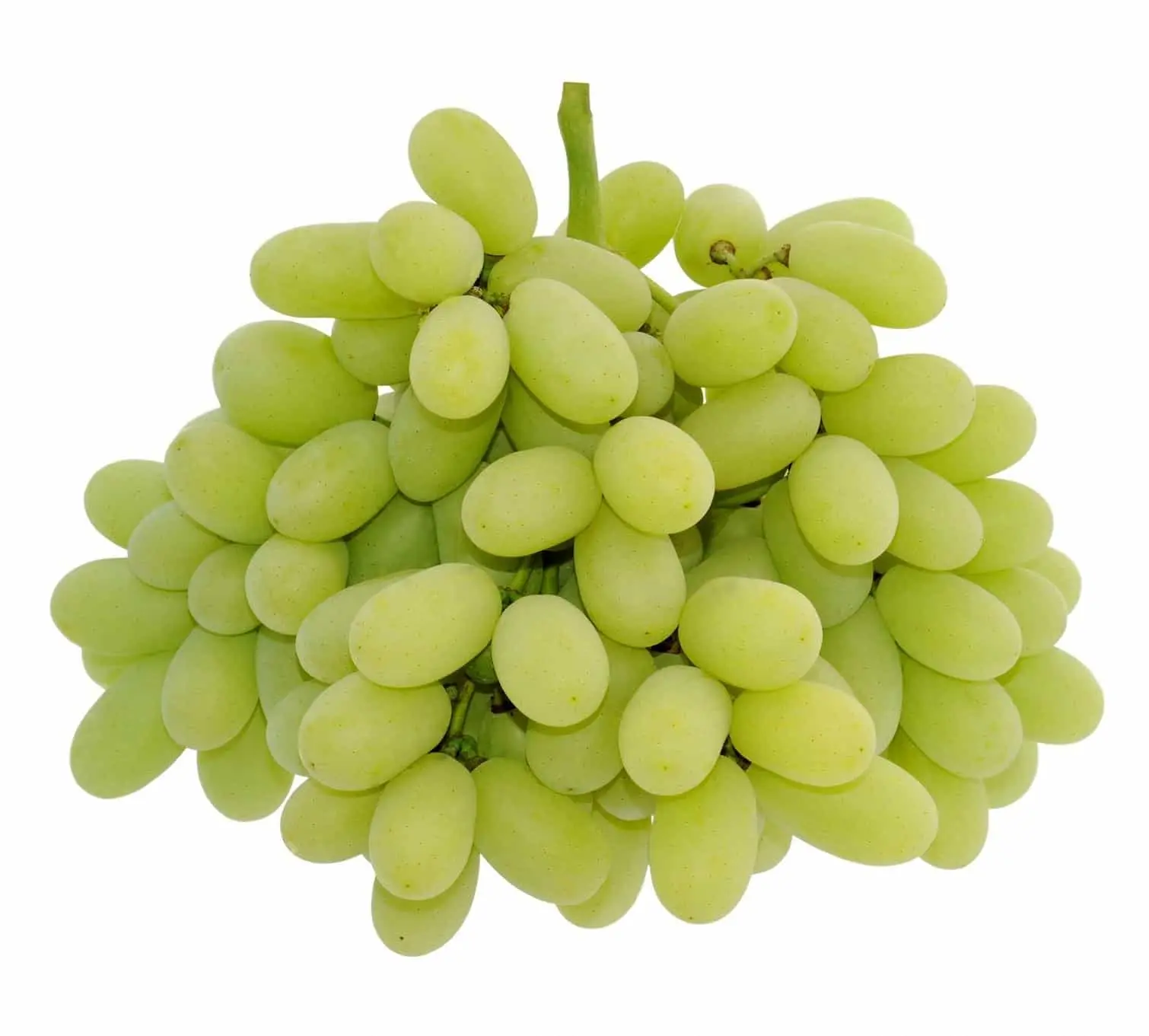 Green grapes  திராட்சை