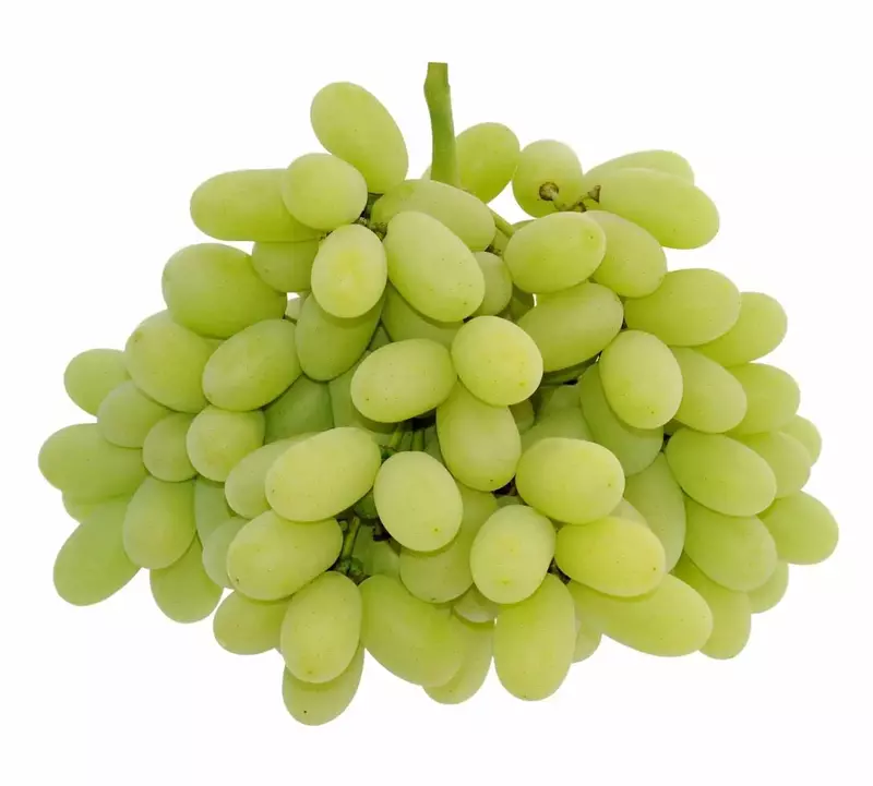 Green grapes  திராட்சை