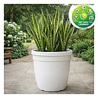 Green Planter Premium Plastic Plant Pot | White