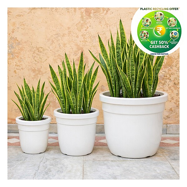Green Planter Premium Plastic Plant Pot | White